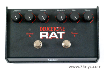 Enlarged view of image